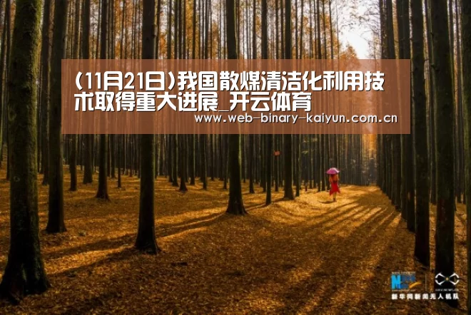开云体育