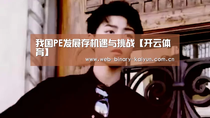 我国PE发展存机遇与挑战【开云体育】(图2) 开云体育