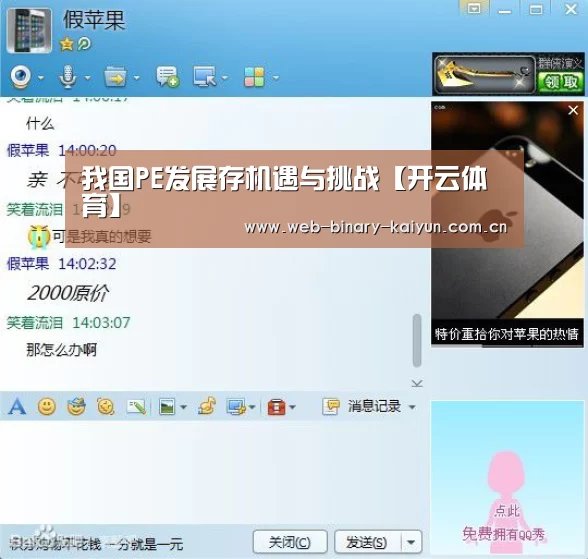 我国PE发展存机遇与挑战【开云体育】(图3) 开云体育
