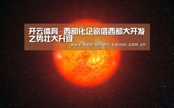 开云体育-西部化企欲借西部大开发之势壮大升级(图4) 开云体育
