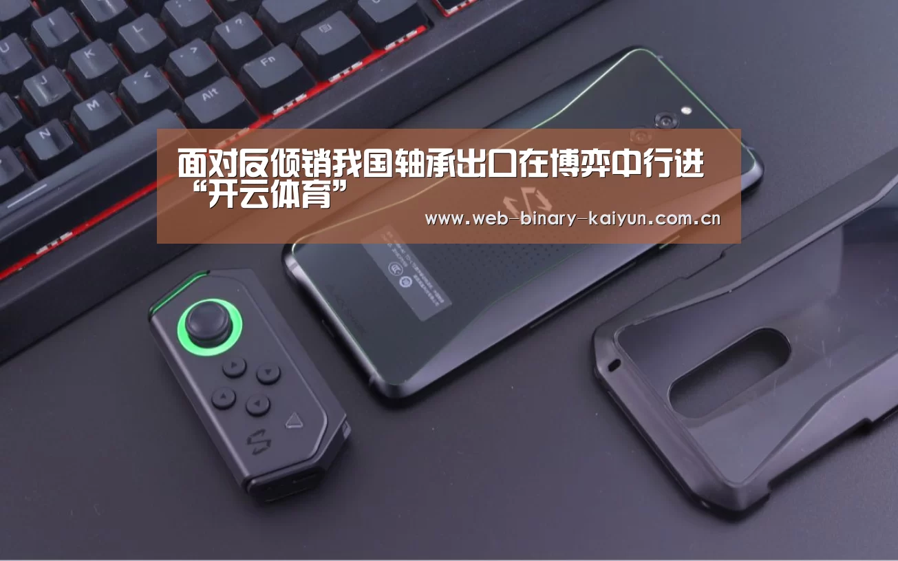 面对反倾销我国轴承出口在博弈中行进“开云体育”(图2) 开云体育