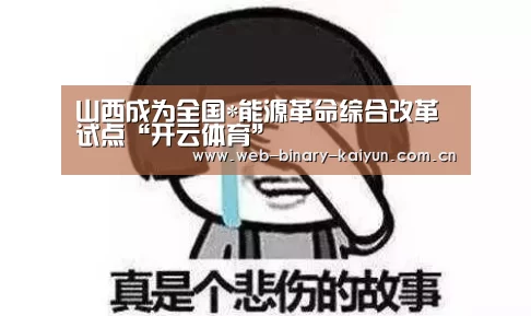 山西成为全国*能源革命综合改革试点“开云体育”